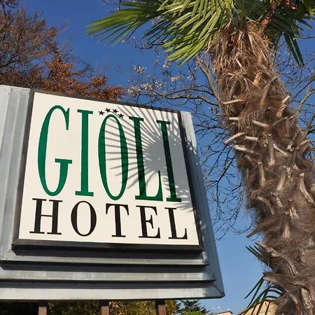Hotel Gioli 3*